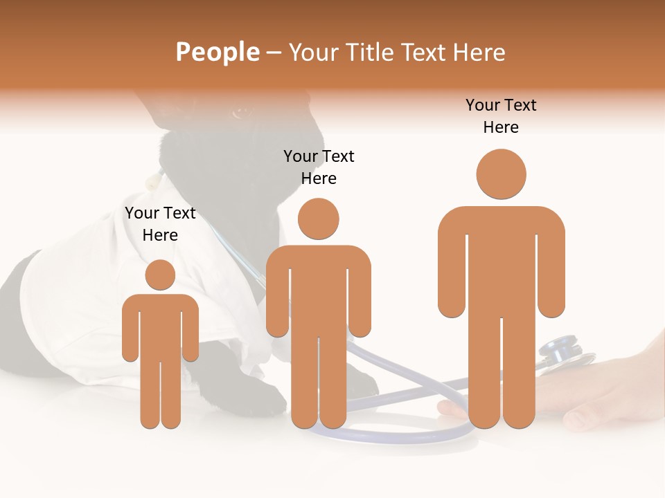 Pug In A Doctor's Suit PowerPoint Template