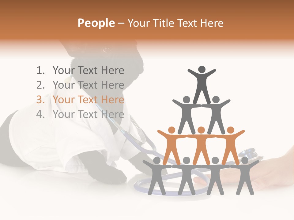 Pug In A Doctor's Suit PowerPoint Template