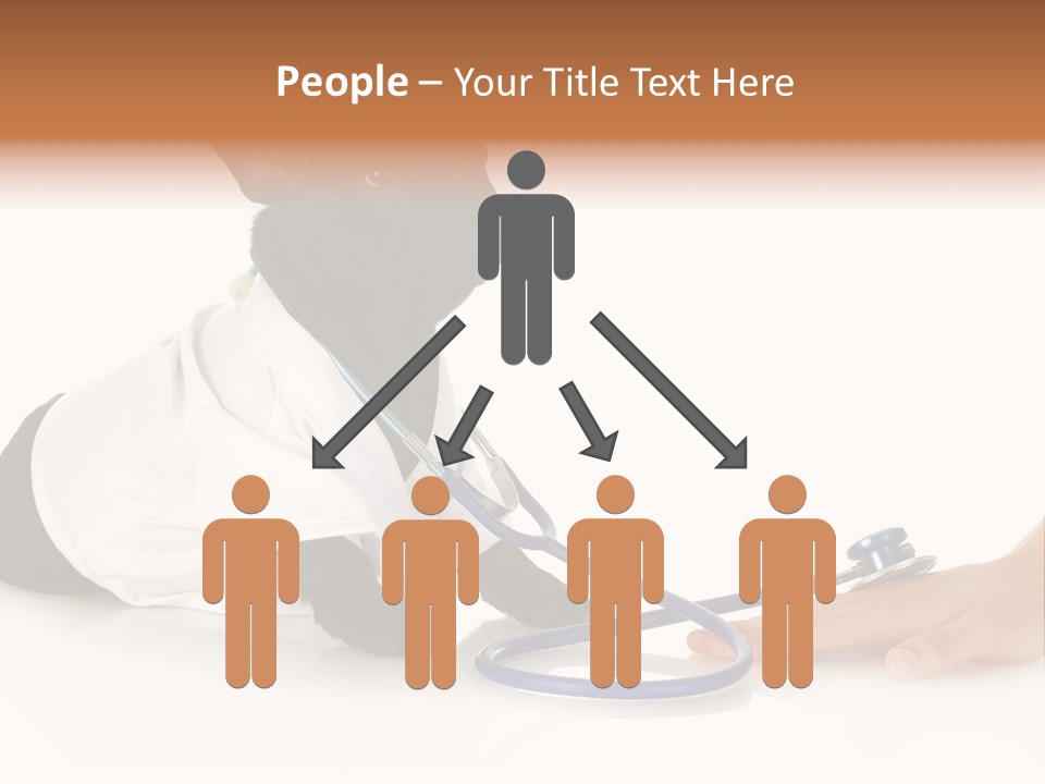 Pug In A Doctor's Suit PowerPoint Template