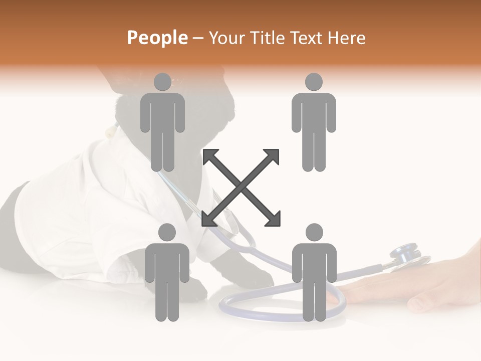 Pug In A Doctor's Suit PowerPoint Template