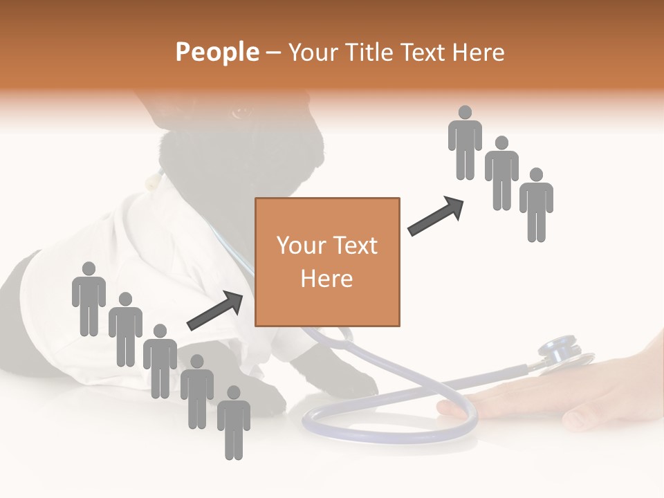 Pug In A Doctor's Suit PowerPoint Template