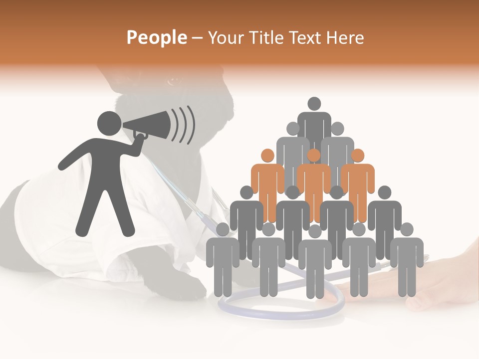 Pug In A Doctor's Suit PowerPoint Template