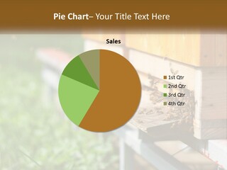 Beehive With Bees PowerPoint Template