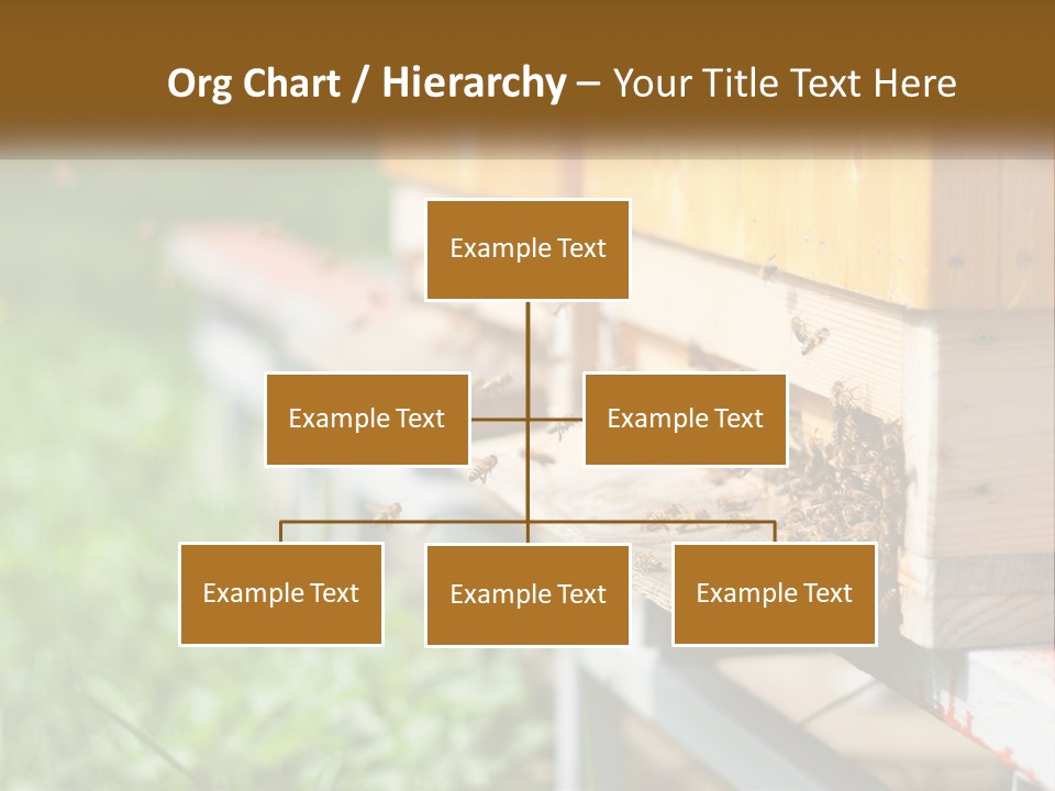 Beehive With Bees PowerPoint Template