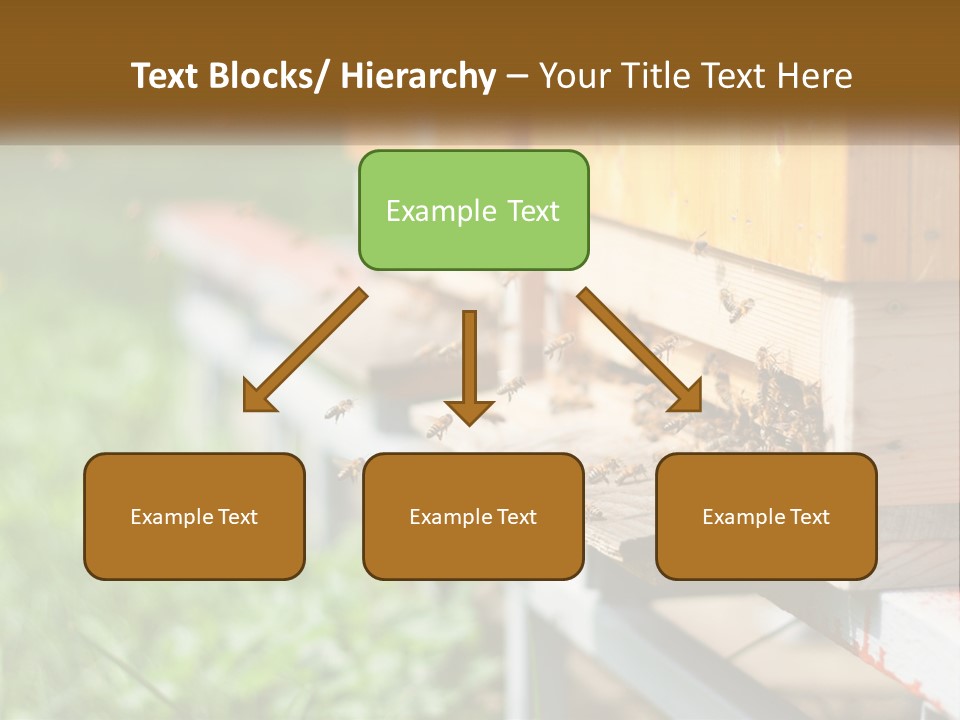 Beehive With Bees PowerPoint Template
