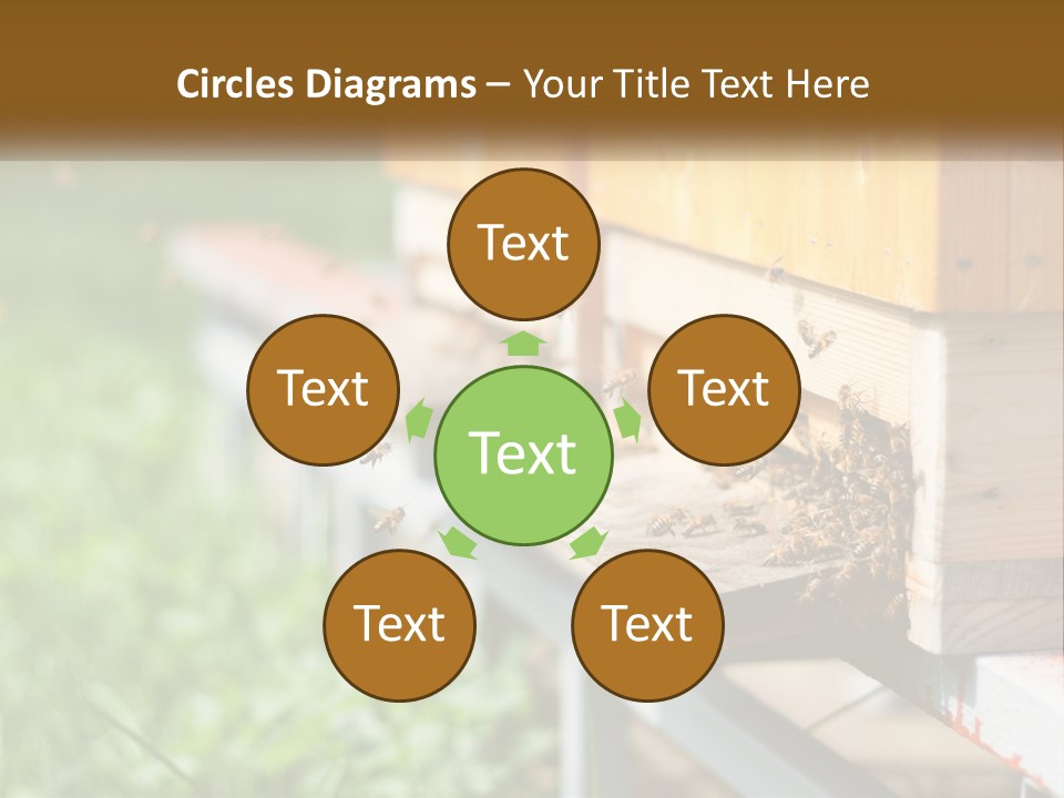 Beehive With Bees PowerPoint Template
