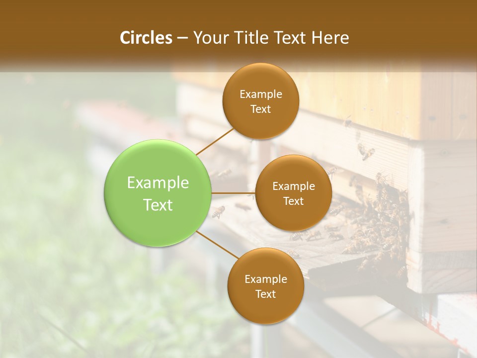 Beehive With Bees PowerPoint Template