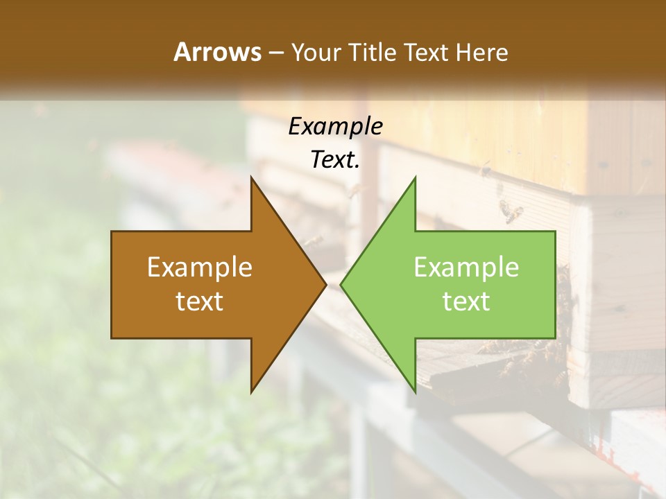 Beehive With Bees PowerPoint Template