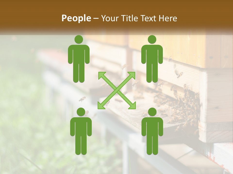 Beehive With Bees PowerPoint Template