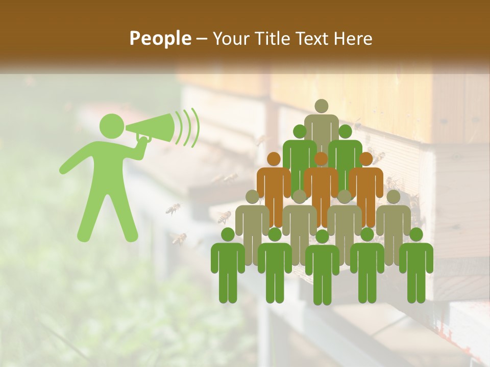 Beehive With Bees PowerPoint Template