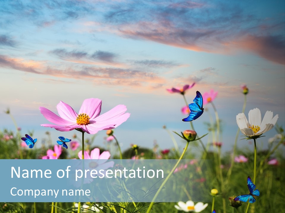 Wildflowers And Butterflies PowerPoint Template