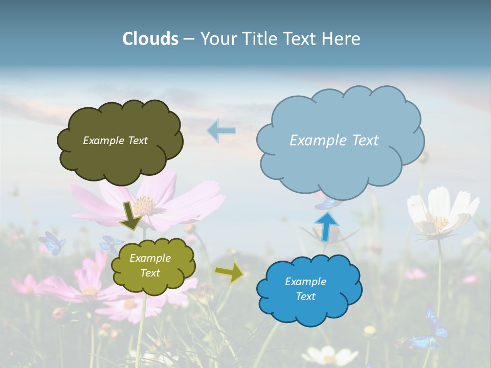 Wildflowers And Butterflies PowerPoint Template