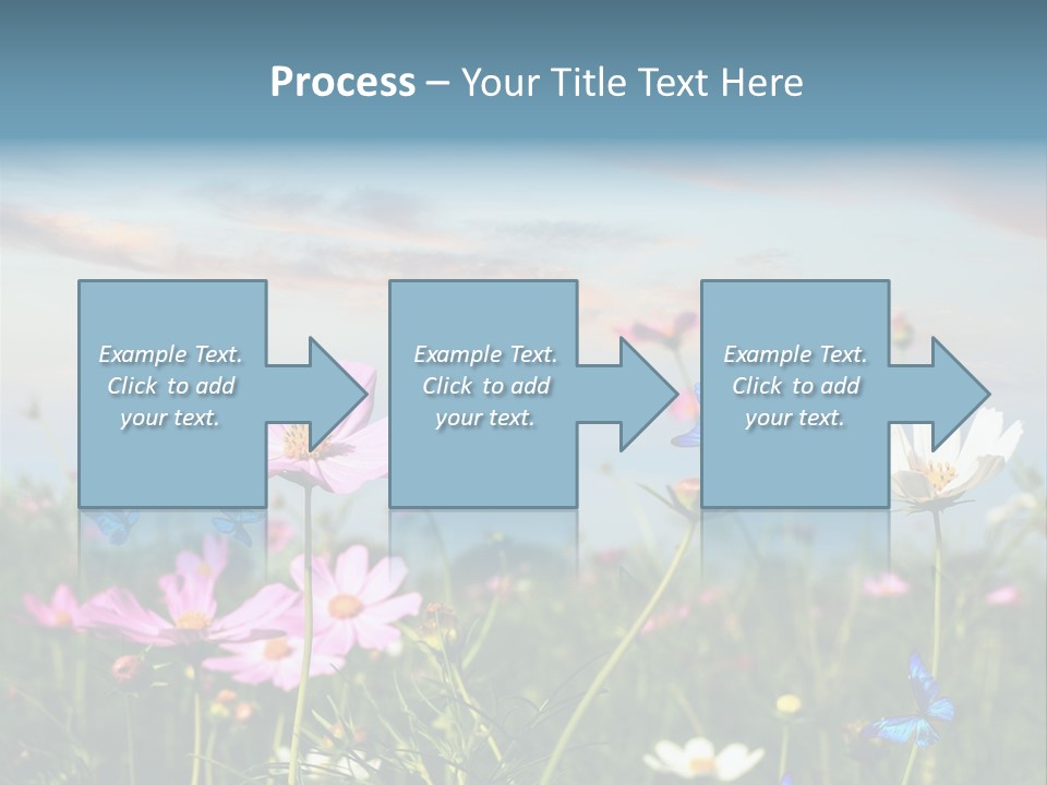 Wildflowers And Butterflies PowerPoint Template