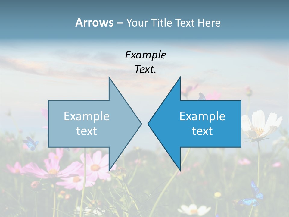 Wildflowers And Butterflies PowerPoint Template