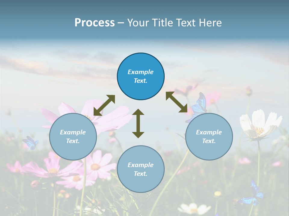 Wildflowers And Butterflies PowerPoint Template