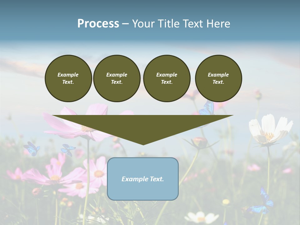 Wildflowers And Butterflies PowerPoint Template