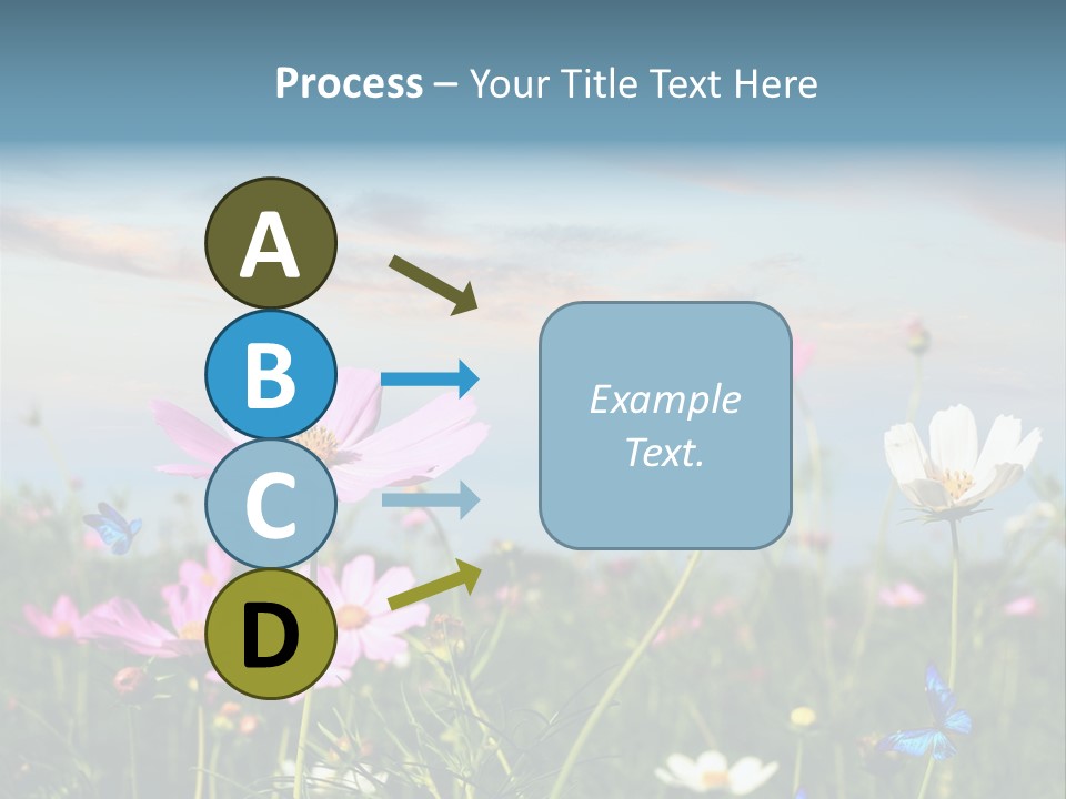 Wildflowers And Butterflies PowerPoint Template