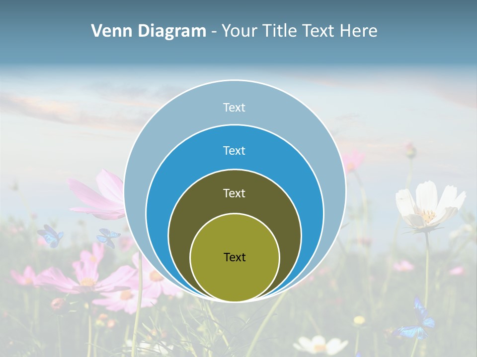 Wildflowers And Butterflies PowerPoint Template