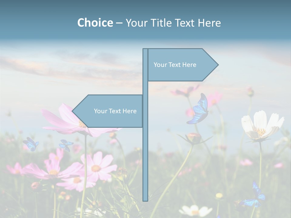 Wildflowers And Butterflies PowerPoint Template