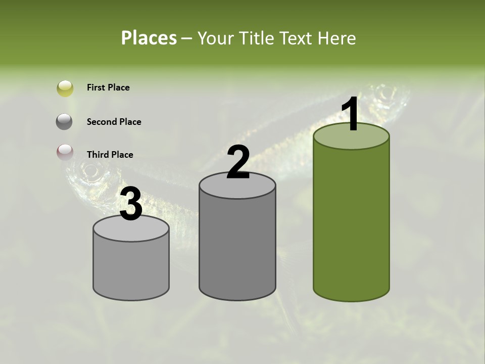 Aquarium Fish PowerPoint Template