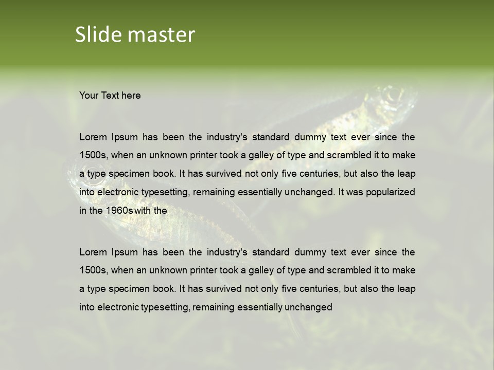 Aquarium Fish PowerPoint Template