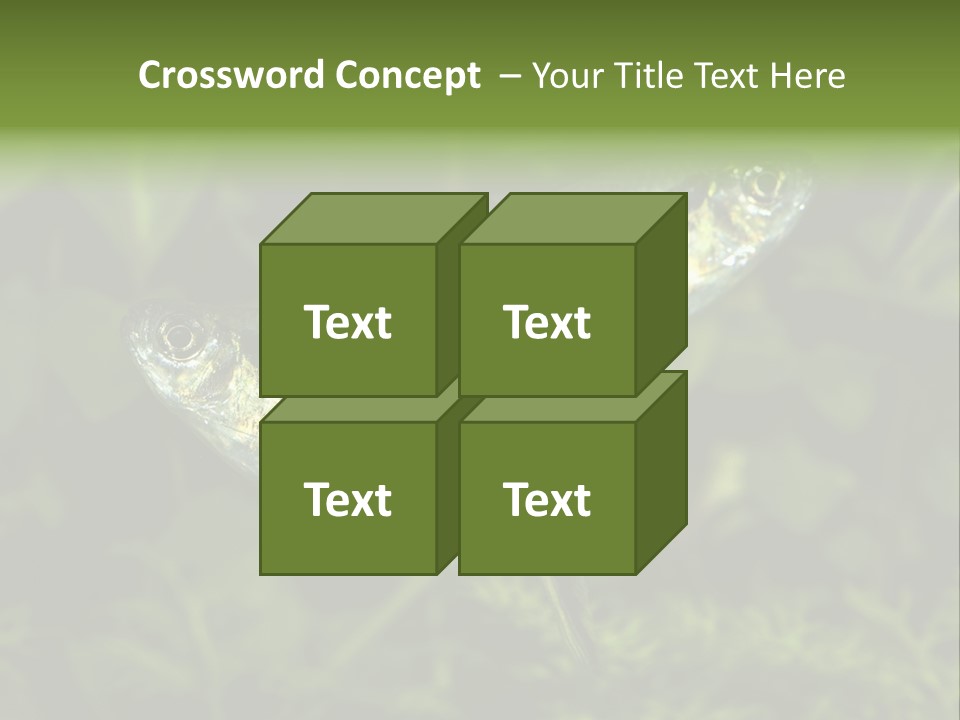 Aquarium Fish PowerPoint Template