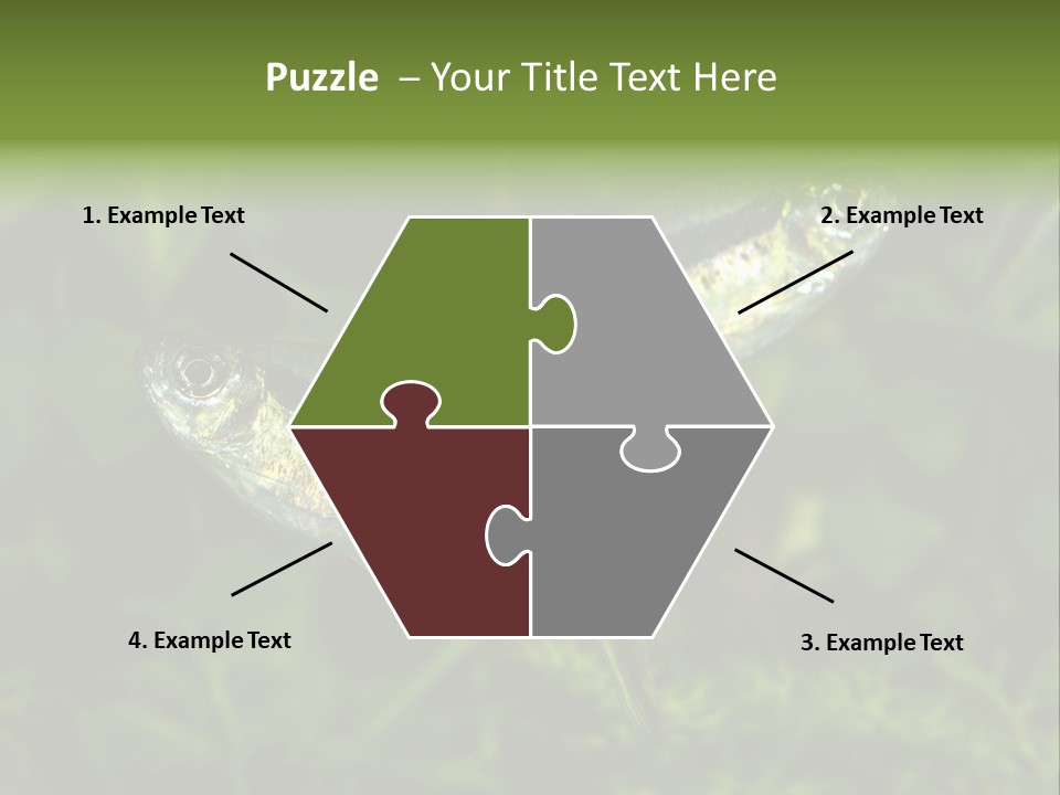 Aquarium Fish PowerPoint Template