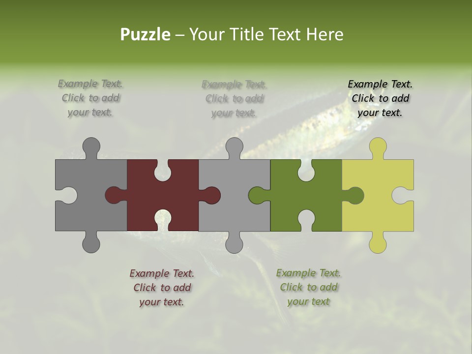 Aquarium Fish PowerPoint Template