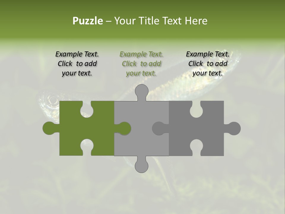 Aquarium Fish PowerPoint Template