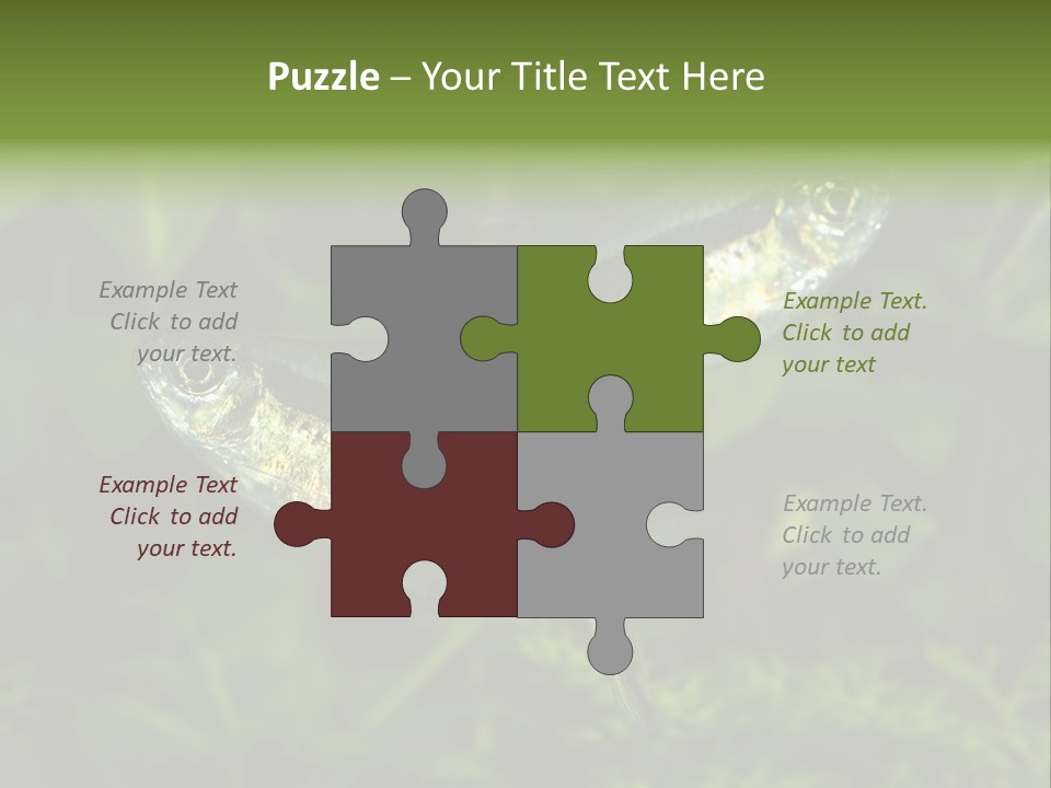 Aquarium Fish PowerPoint Template