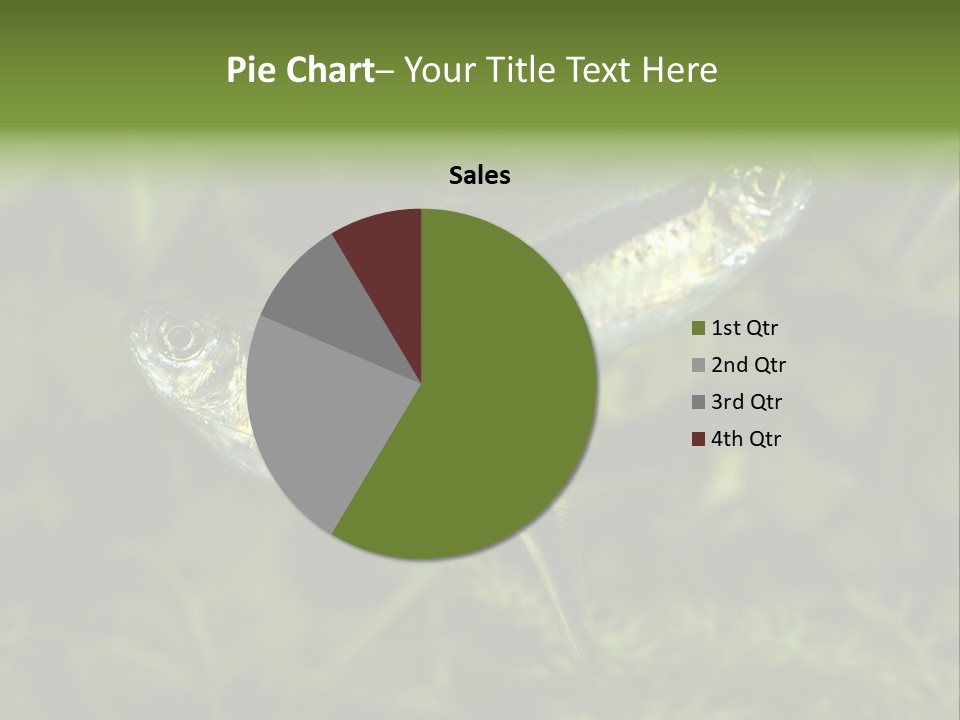 Aquarium Fish PowerPoint Template