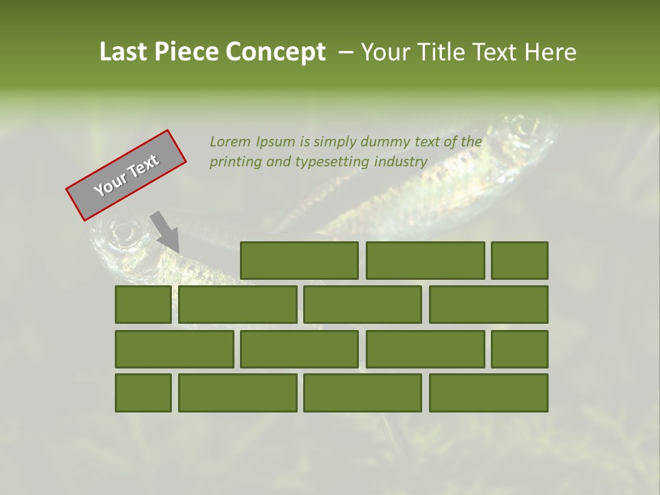 Aquarium Fish PowerPoint Template