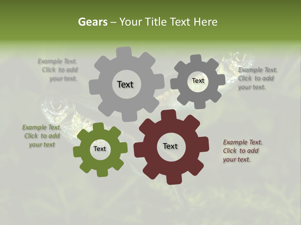 Aquarium Fish PowerPoint Template