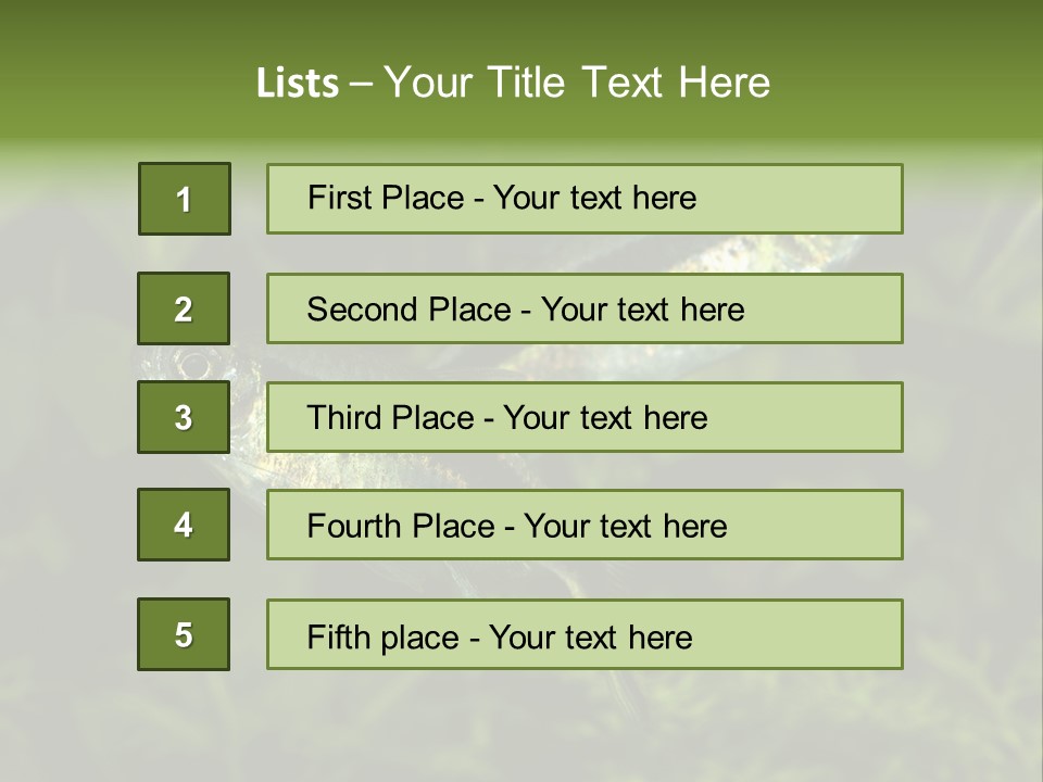 Aquarium Fish PowerPoint Template