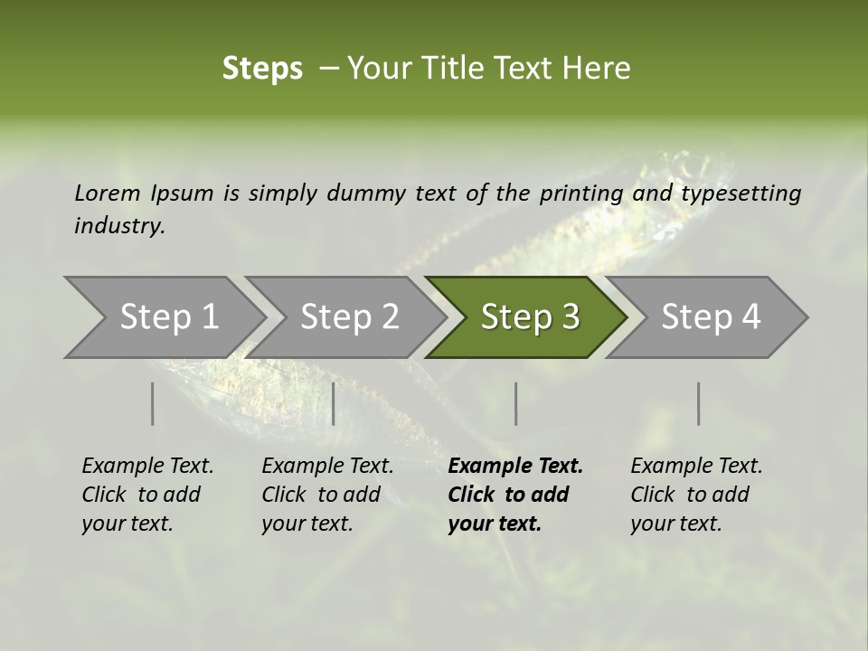 Aquarium Fish PowerPoint Template