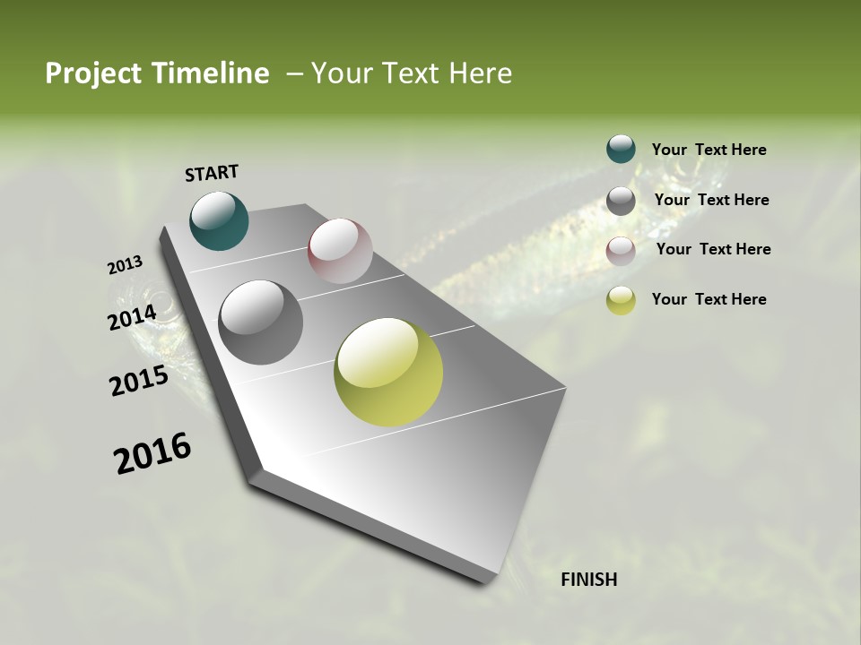 Aquarium Fish PowerPoint Template