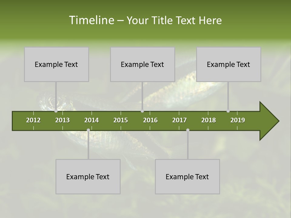 Aquarium Fish PowerPoint Template