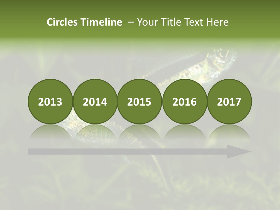 Aquarium Fish PowerPoint Template