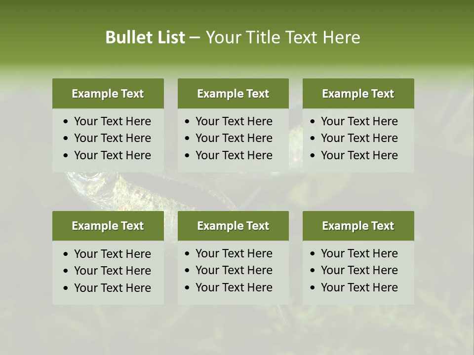 Aquarium Fish PowerPoint Template