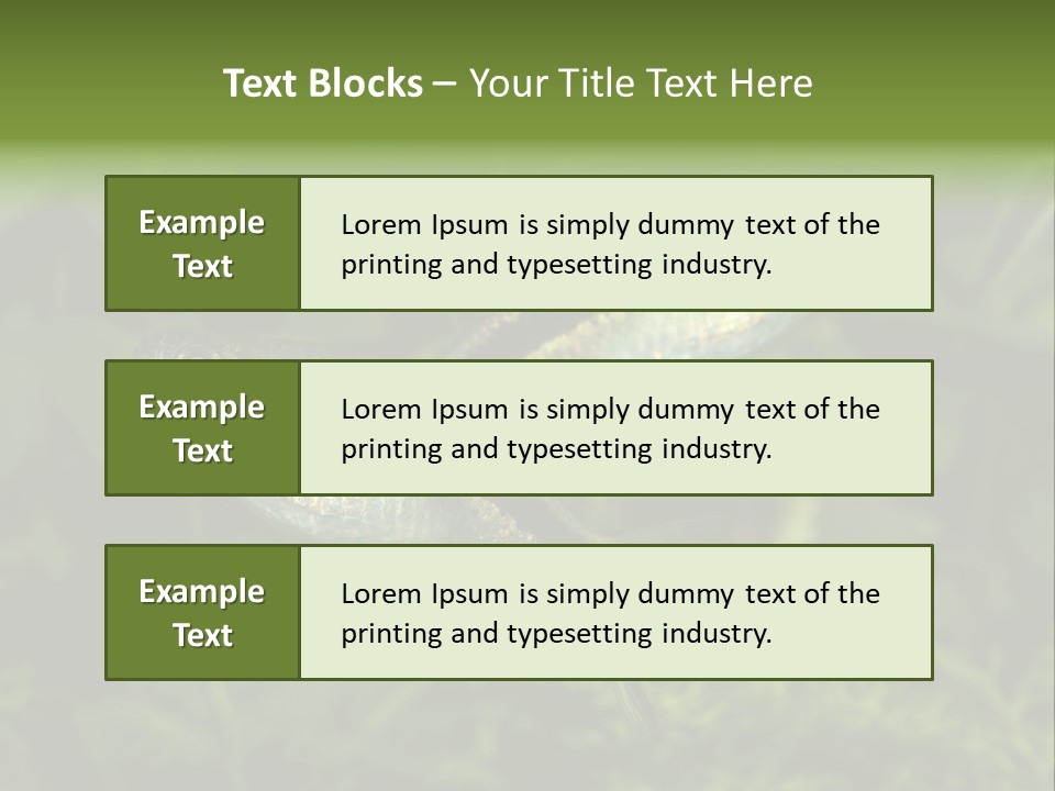 Aquarium Fish PowerPoint Template