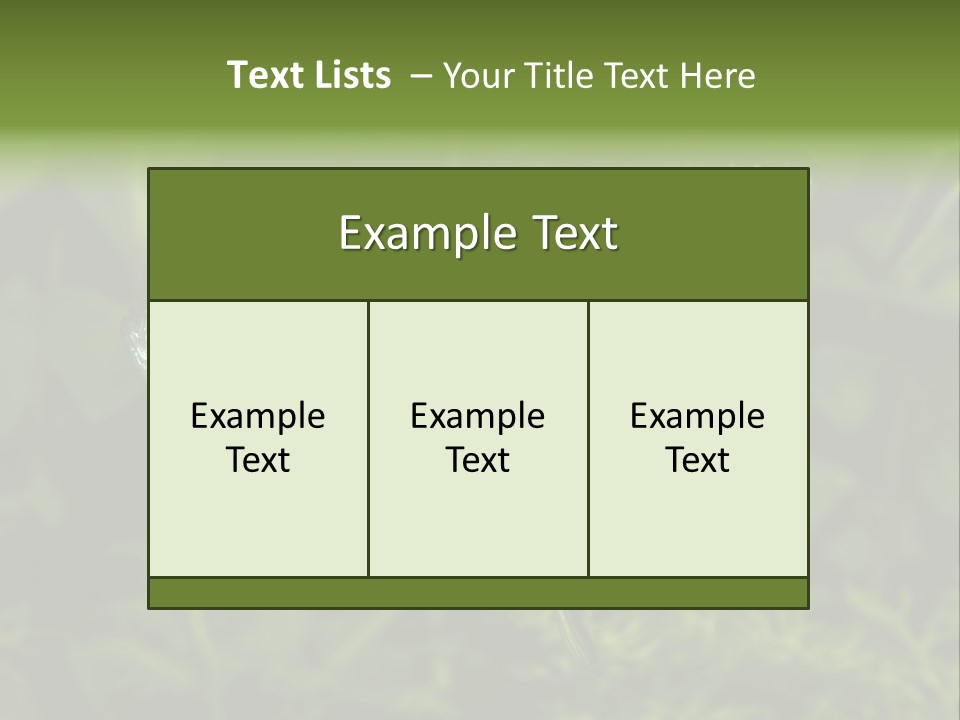 Aquarium Fish PowerPoint Template