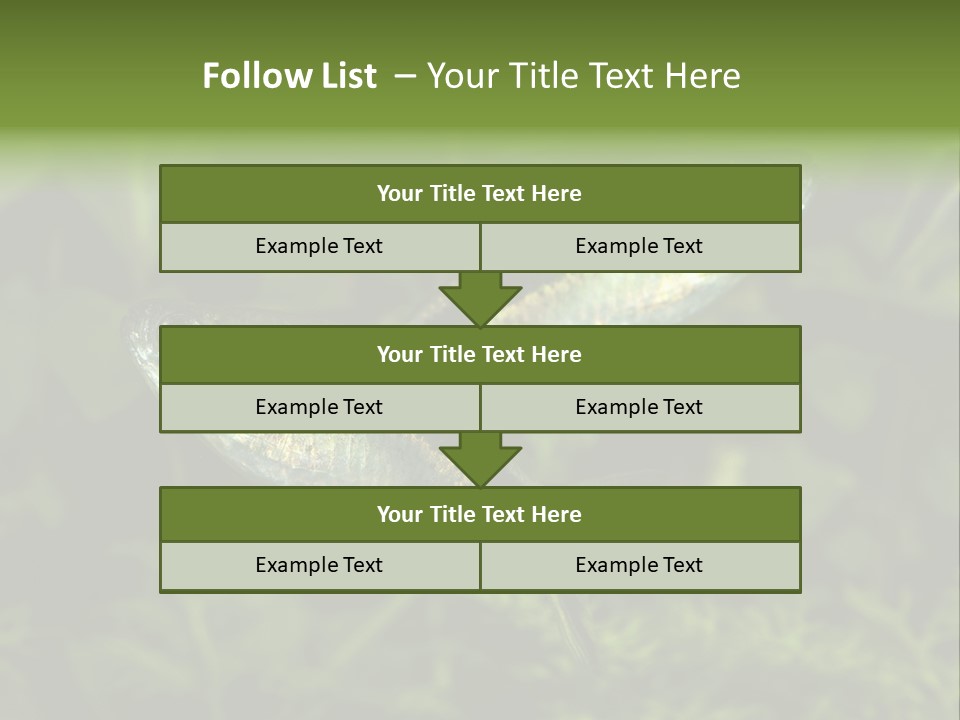 Aquarium Fish PowerPoint Template