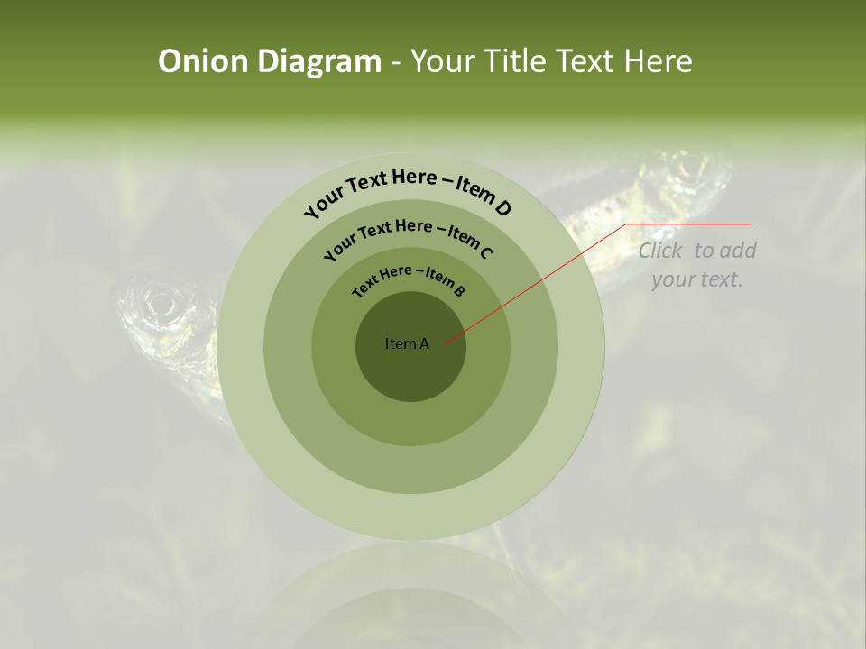 Aquarium Fish PowerPoint Template