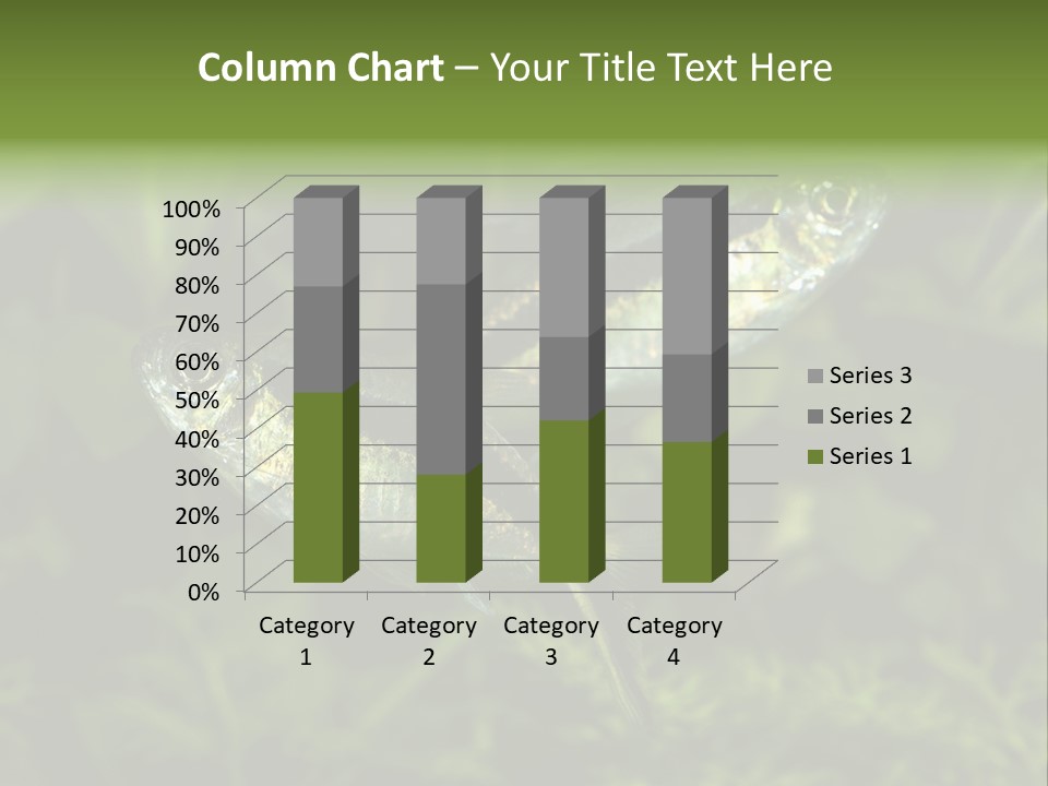 Aquarium Fish PowerPoint Template