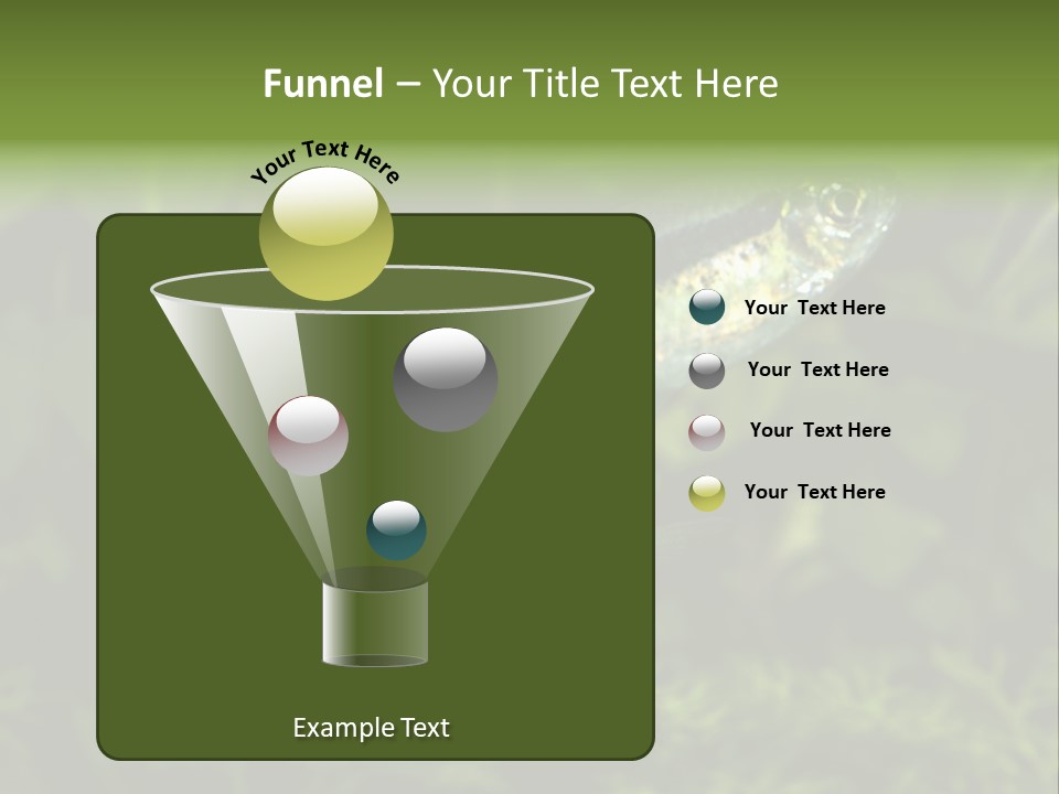 Aquarium Fish PowerPoint Template