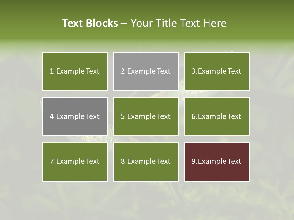 Aquarium Fish PowerPoint Template