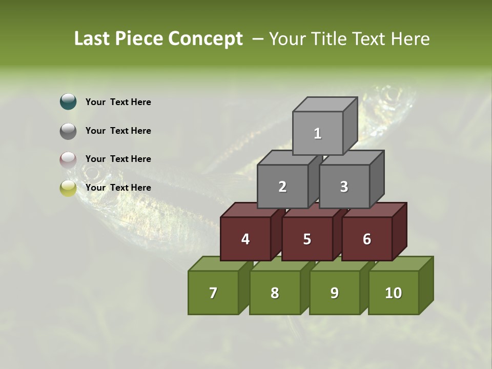 Aquarium Fish PowerPoint Template