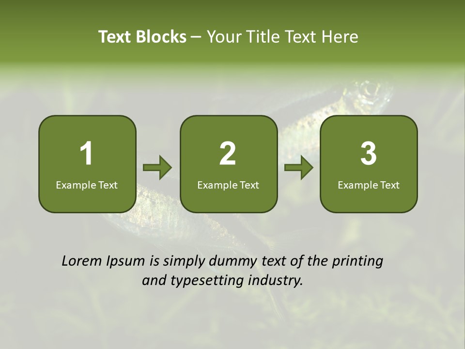 Aquarium Fish PowerPoint Template