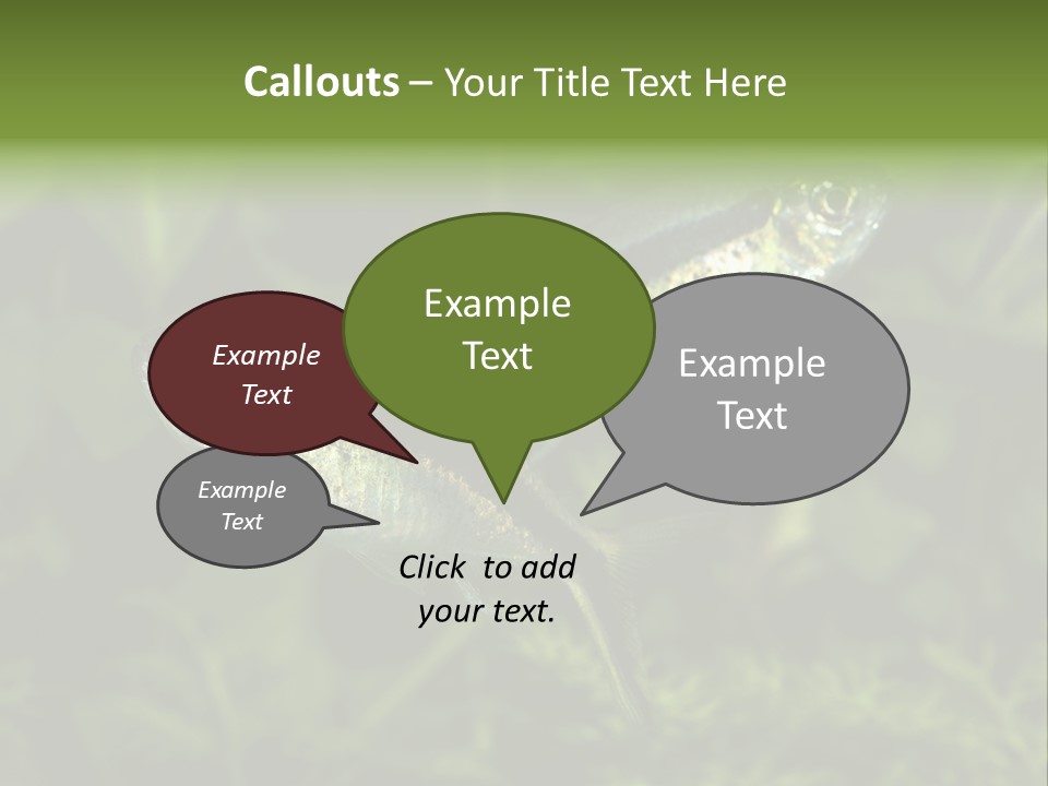 Aquarium Fish PowerPoint Template