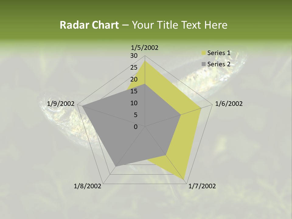 Aquarium Fish PowerPoint Template